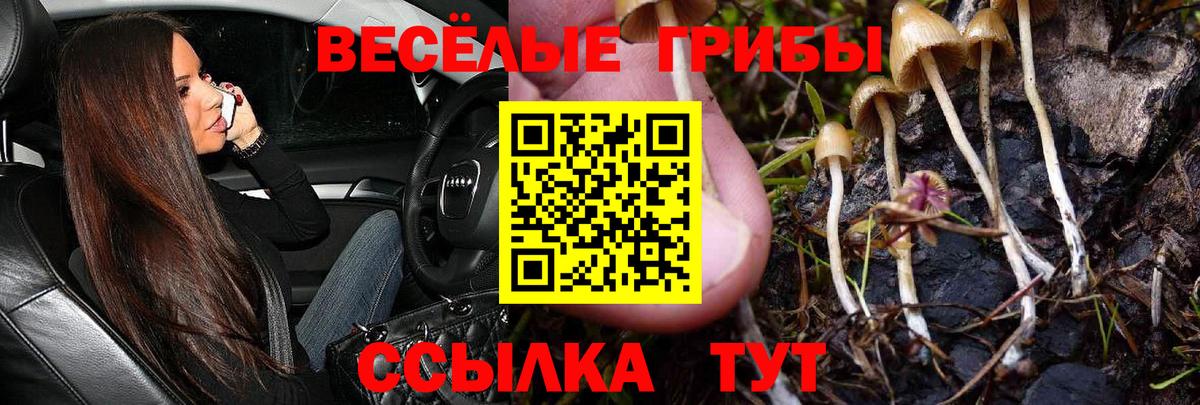 Галлюциногенные грибы Psilocybe  Псилоцибиновые грибы мухоморы  Вход с VPN  Новосибирск 